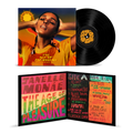 The Age of Pleasure- Janelle Monáe