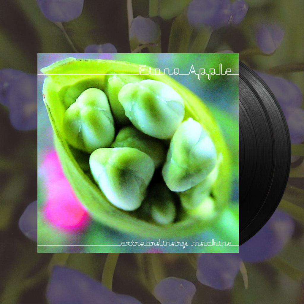 Extraordinary Machine- Fiona Apple
