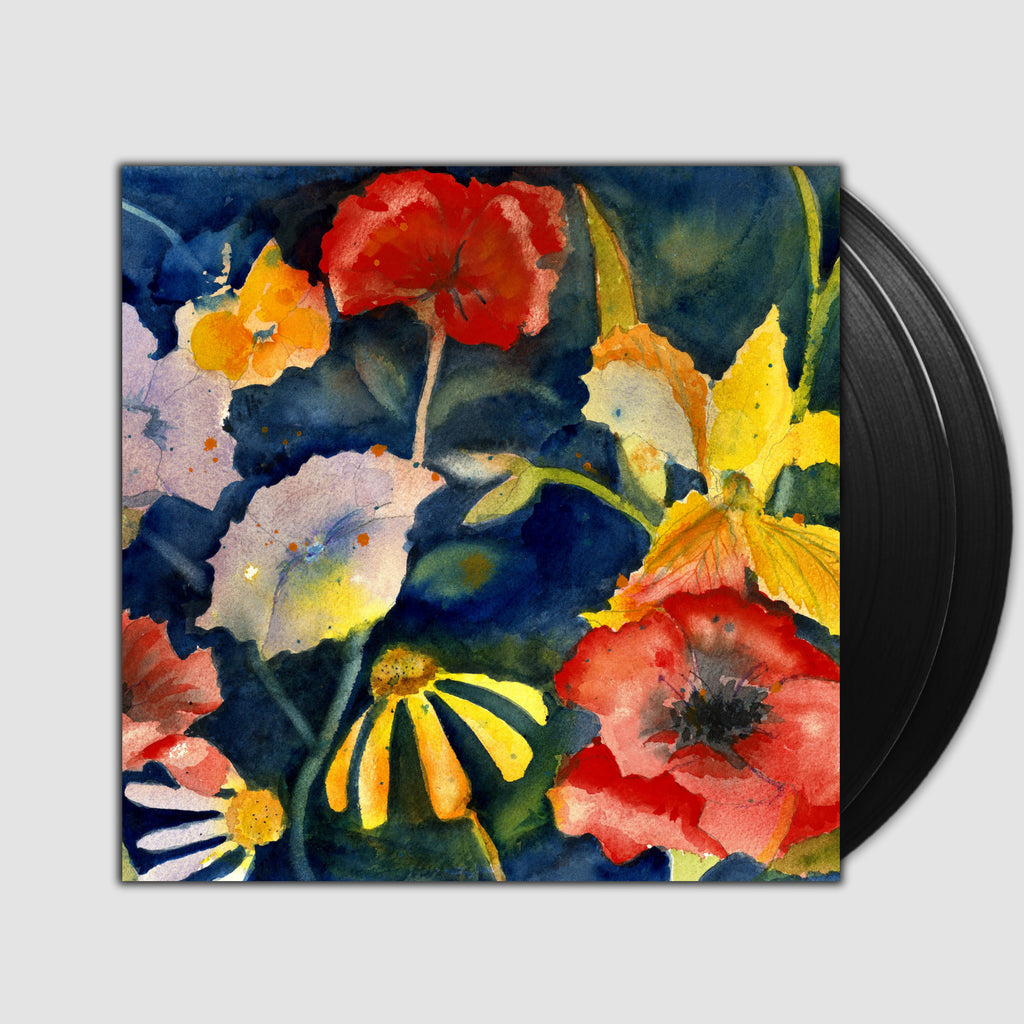 Songs And Instrumentals- Adrianne Lenker
