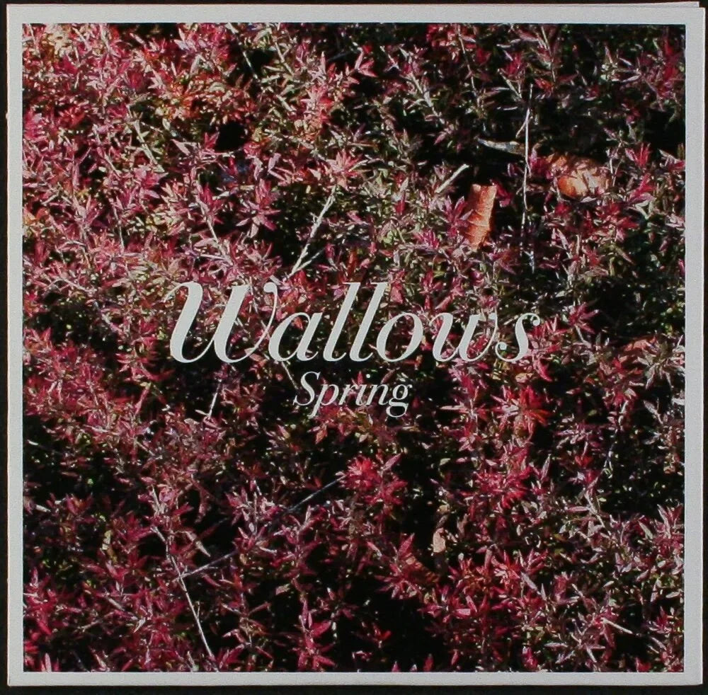Spring- Wallows