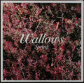 Spring- Wallows