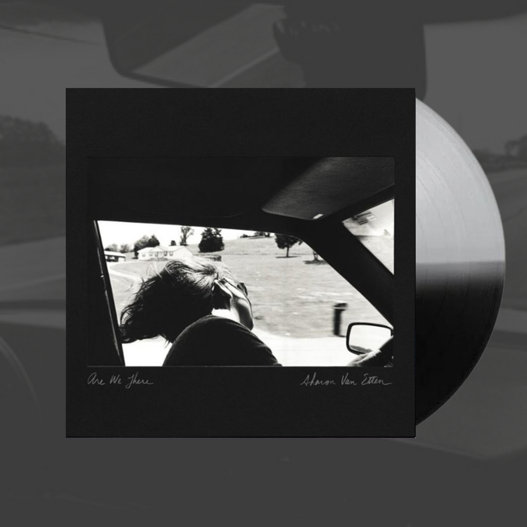 Are We There- Sharon Van Etten