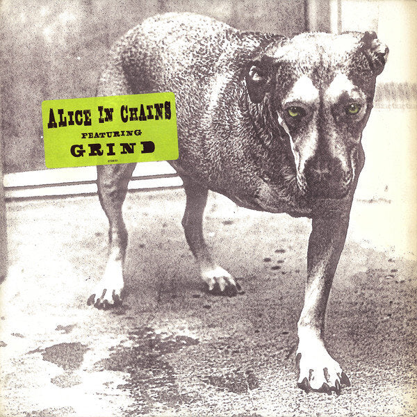Three Legged Dog- Alice in Chains