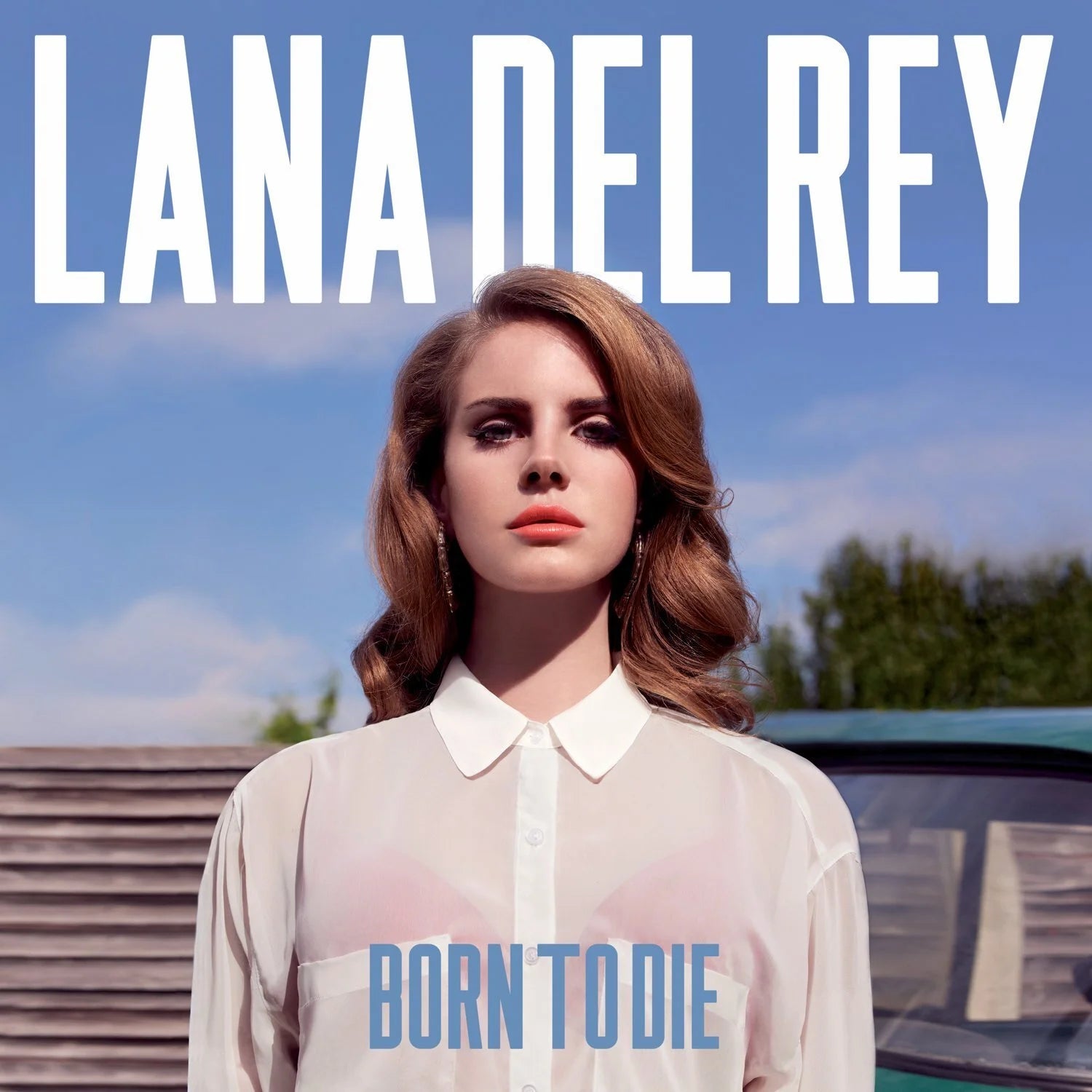Born to Die- Lana Del Rey