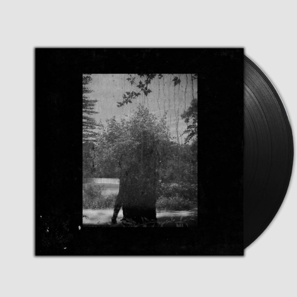 Ruins- Grouper