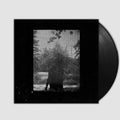 Ruins- Grouper