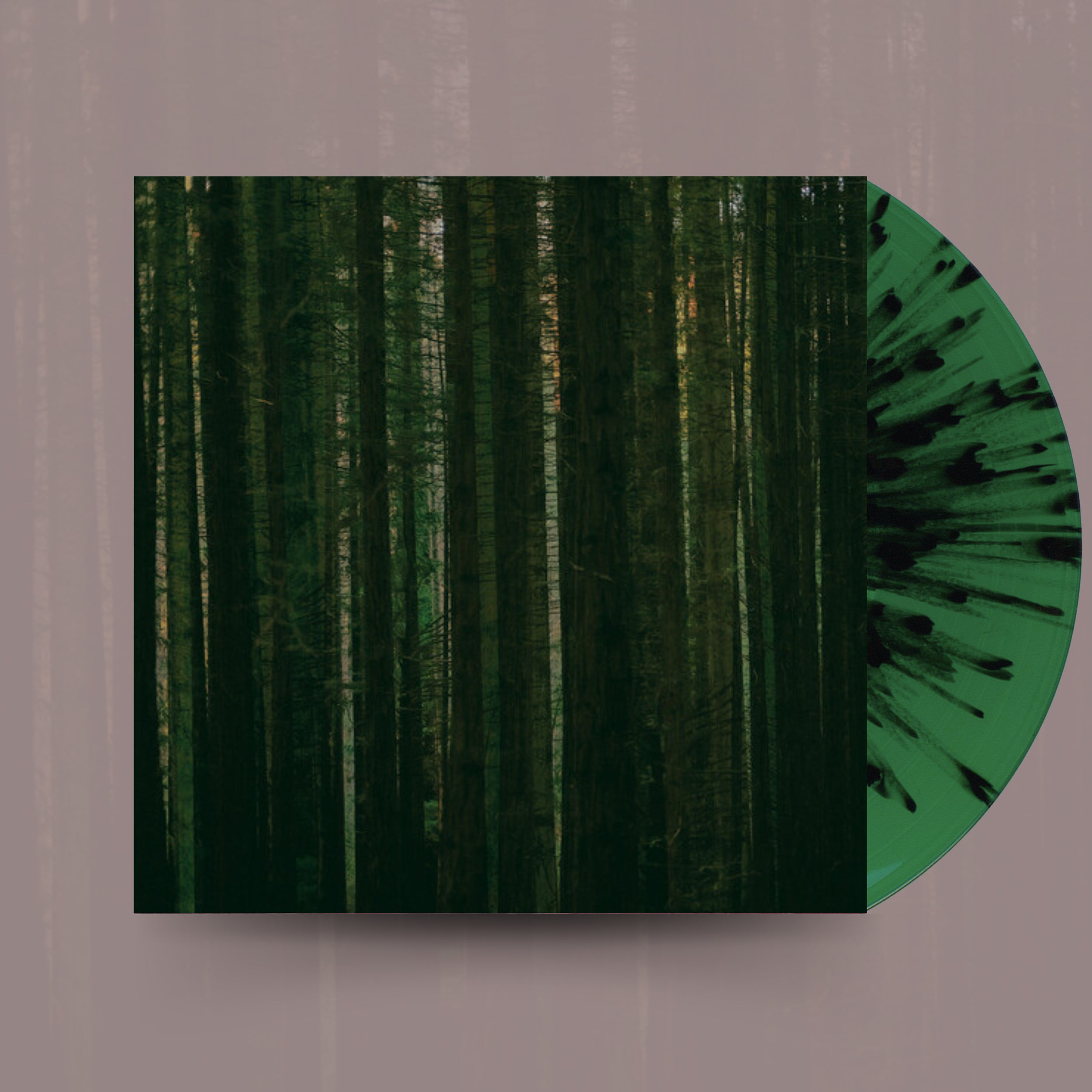 Evergreen- The Paper Kites