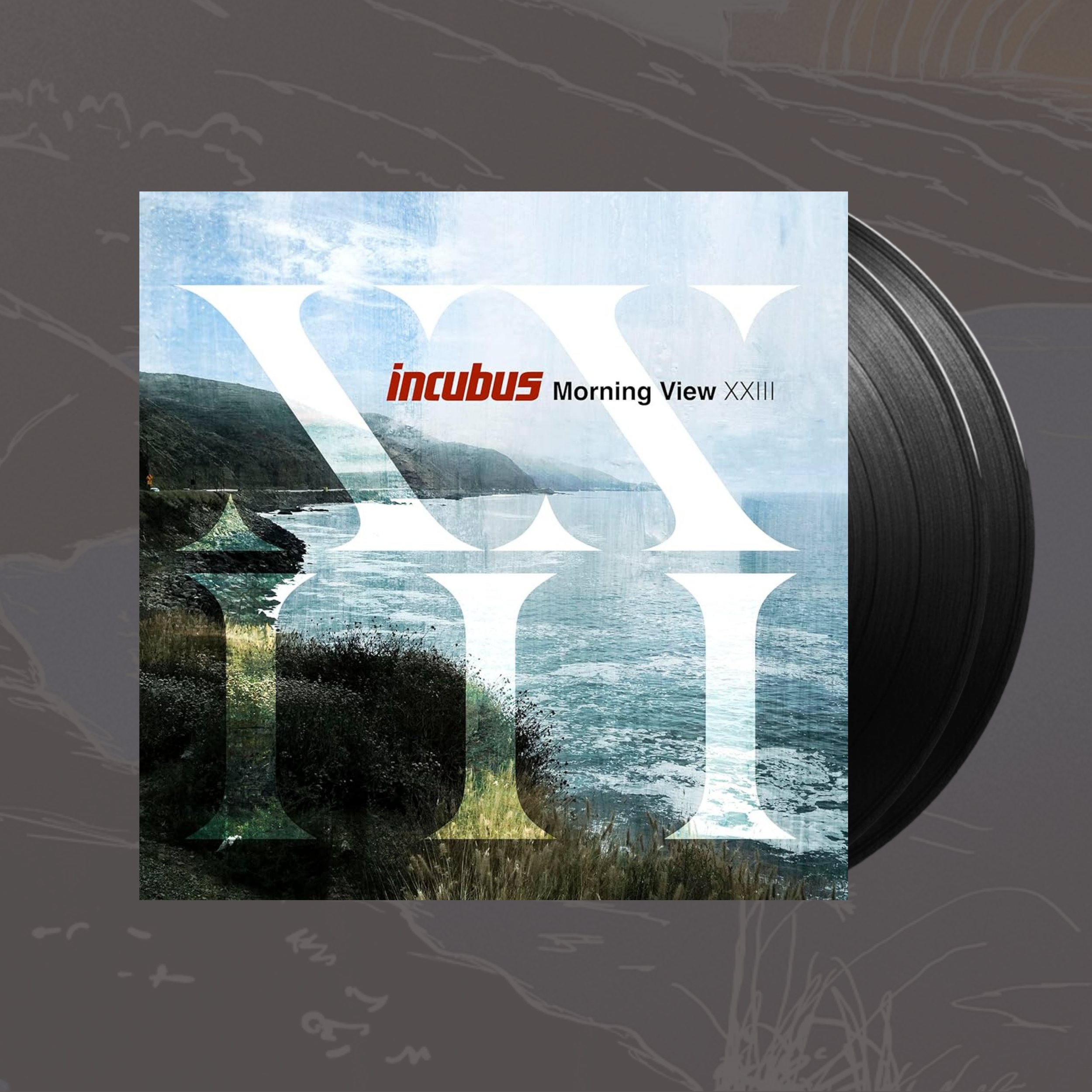 Morning View XXIII- Incubus