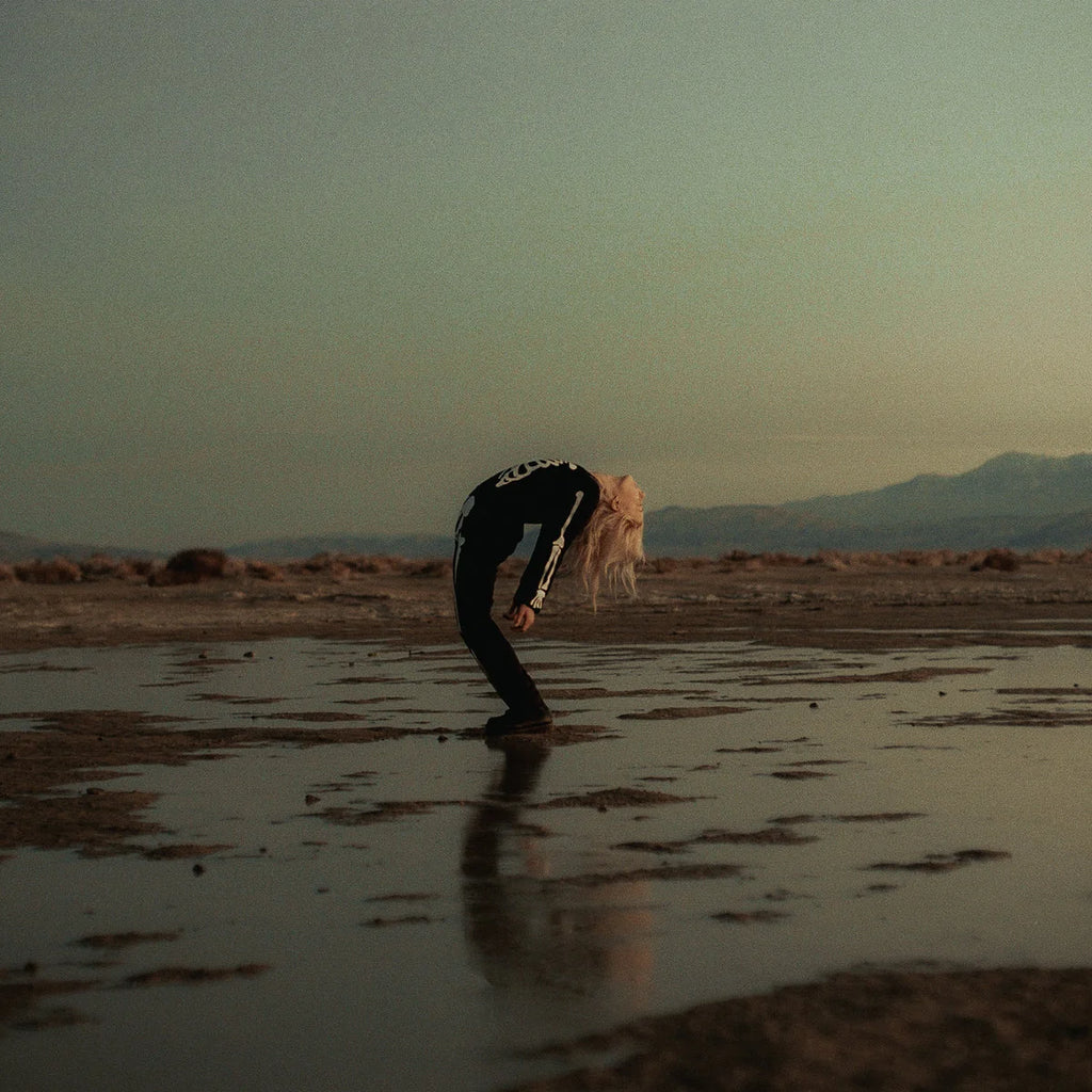 Copycat Killer- Phoebe Bridgers