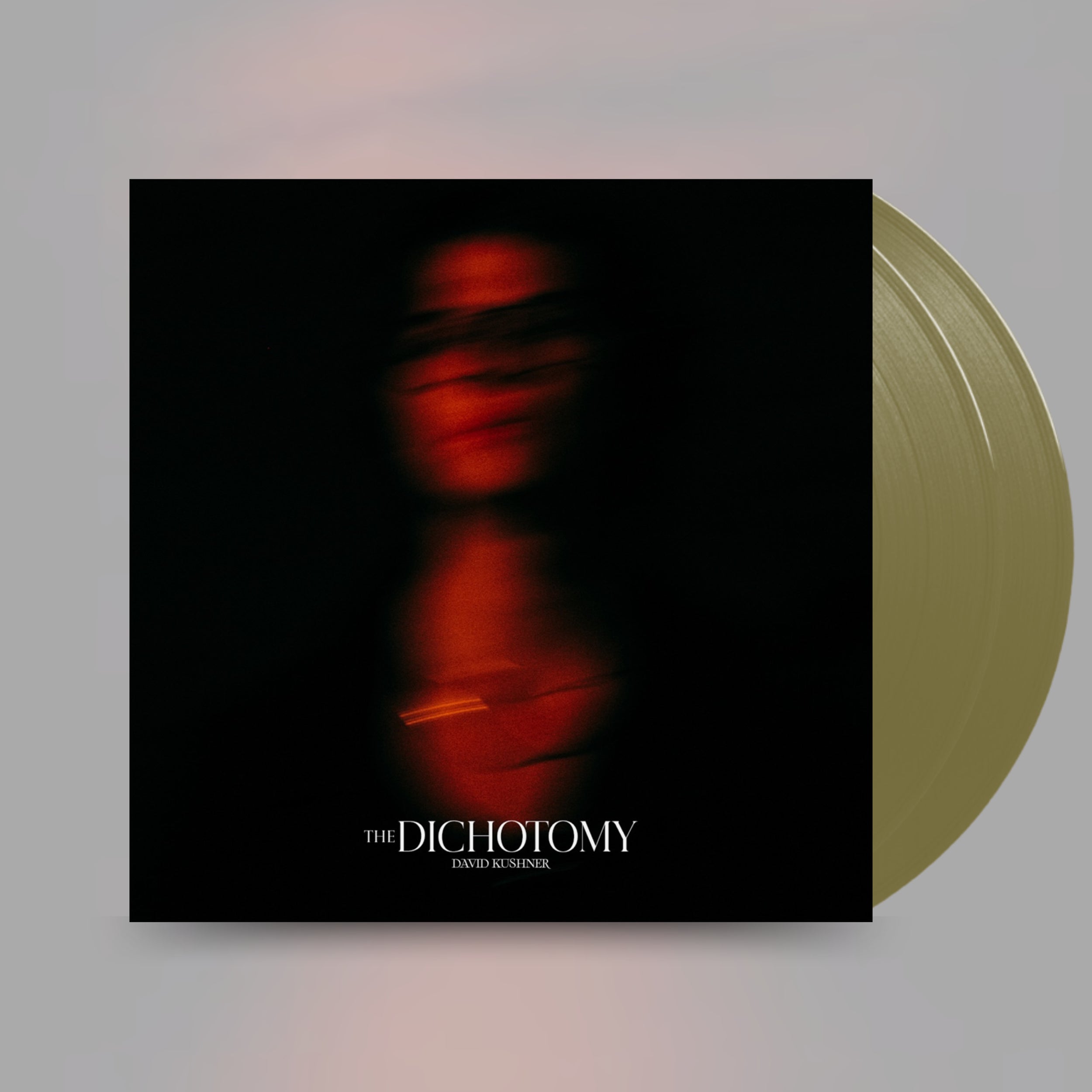 The Dichotomy- David Kushner