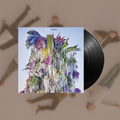 Cousin- Wilco