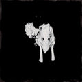 Kveikur- Sigur Rós