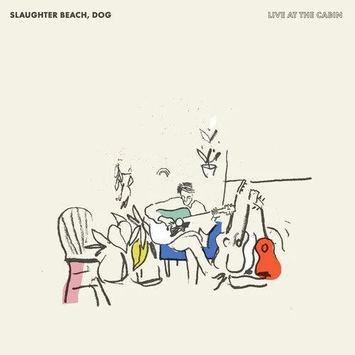 Live at the Cabin- Dog Slaughter Beach