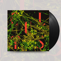 Host- Cults