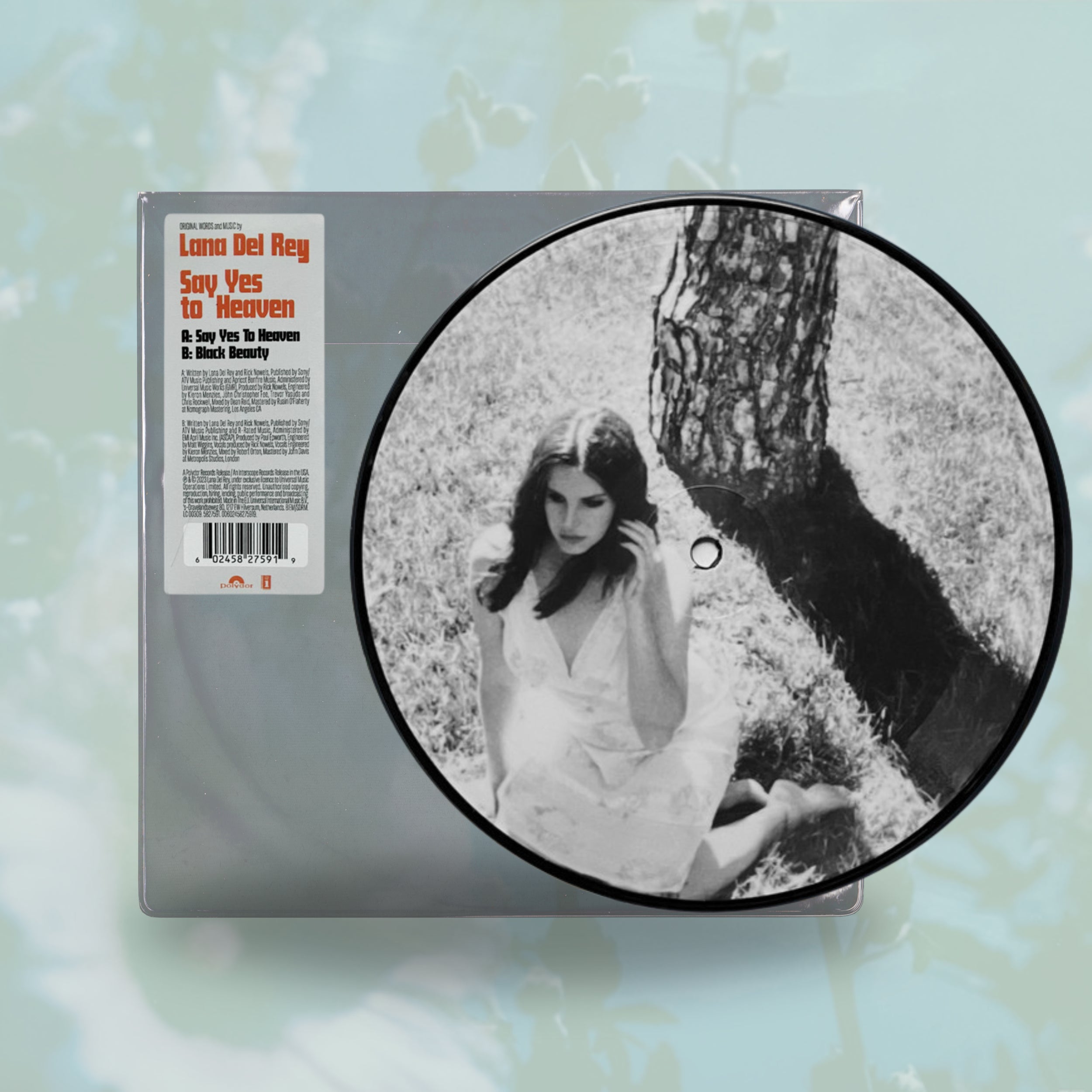 Say Yes to Heaven- Lana Del Rey