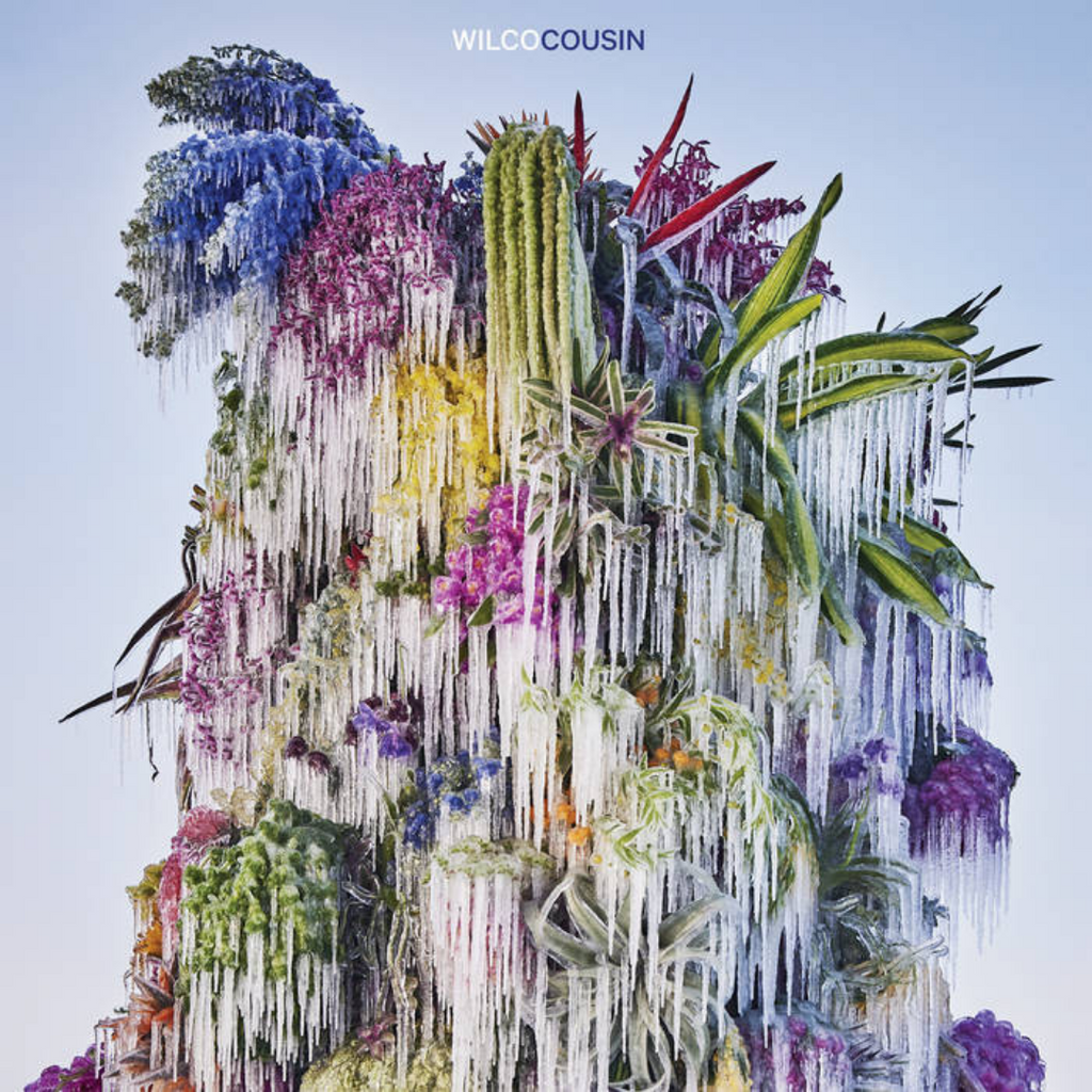 Cousin- Wilco