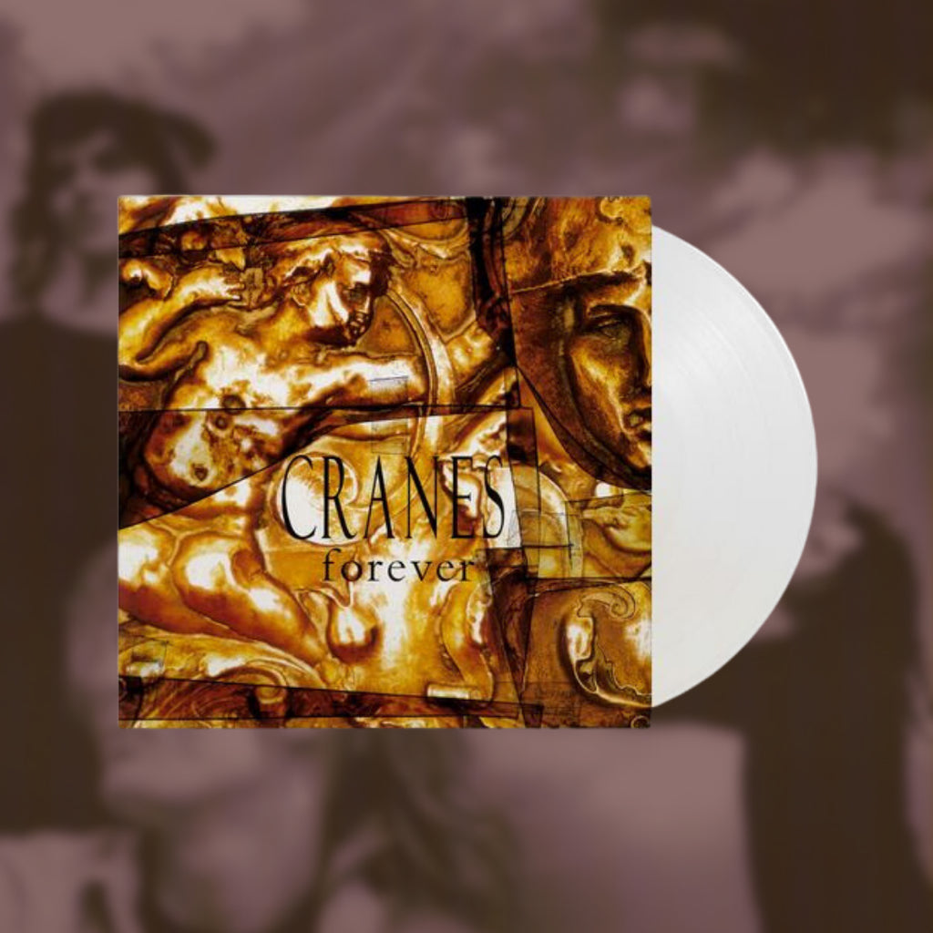 Forever- Cranes