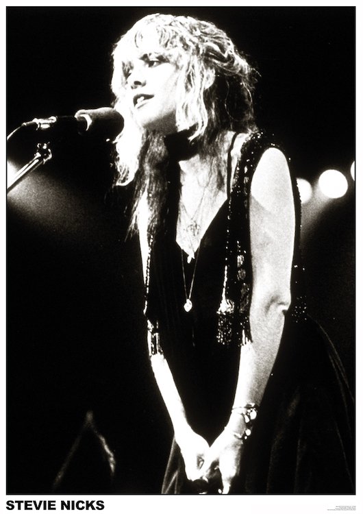 Stevie: Freedom Land of The 70's Poster