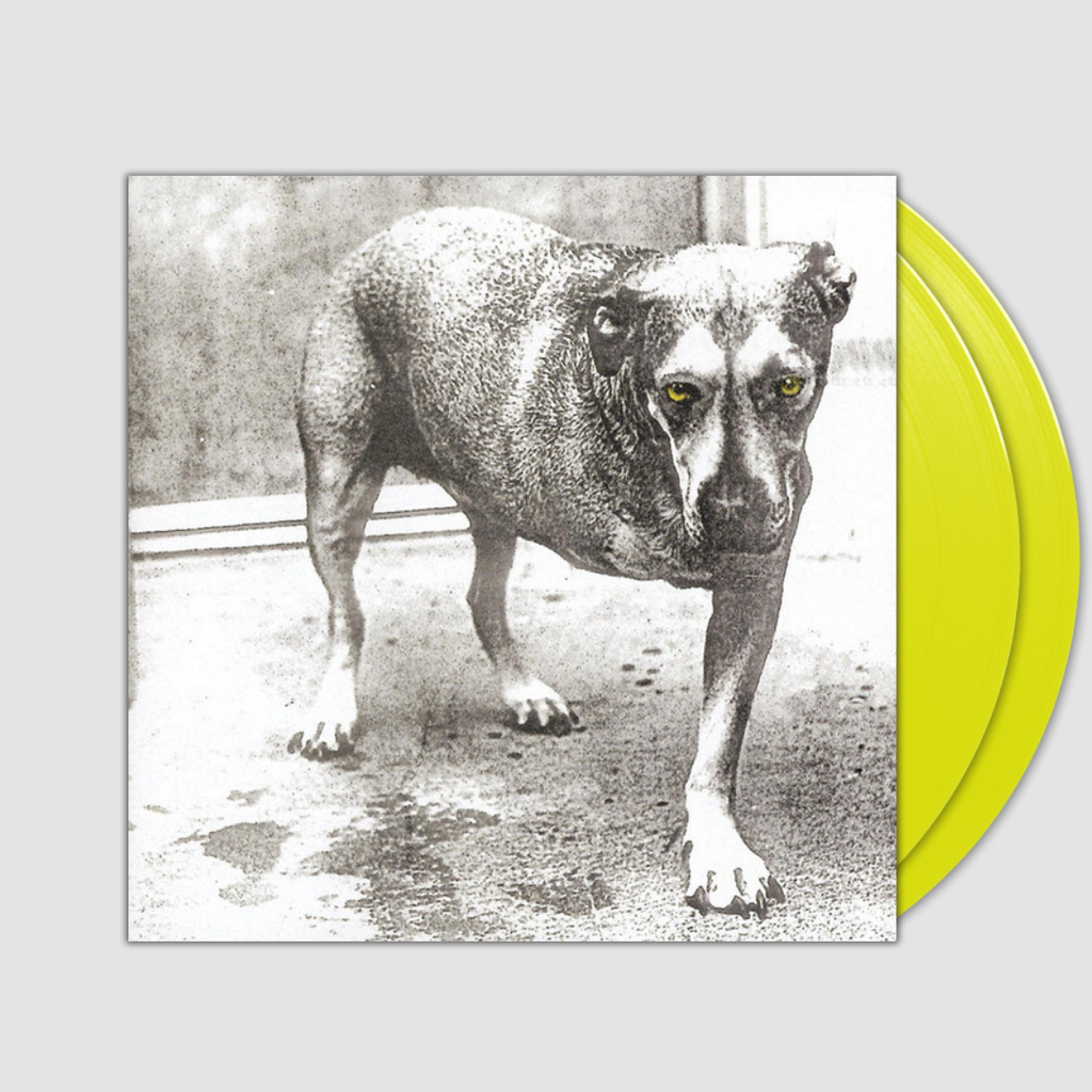 Three Legged Dog- Alice in Chains