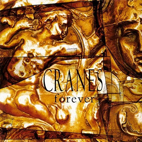 Forever- Cranes