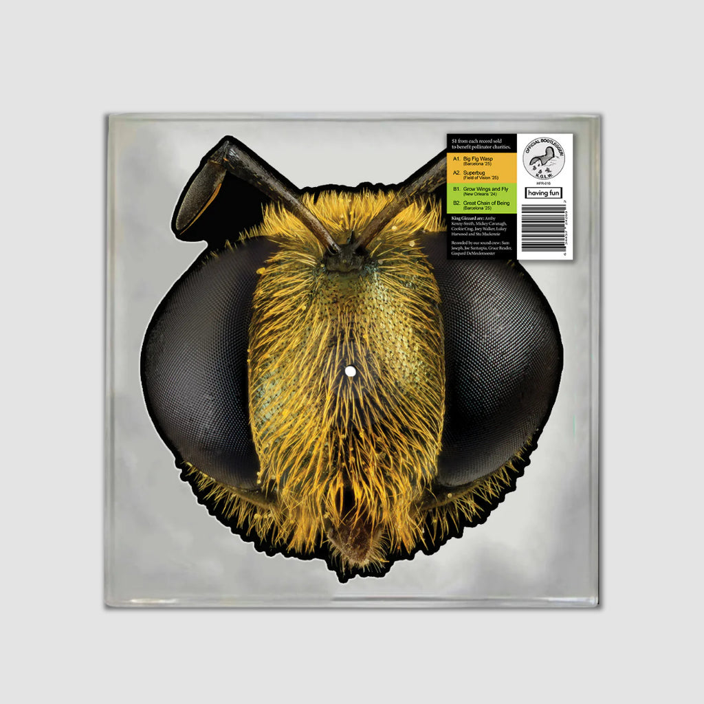 Big Fig Wasp (BEE/BUG SHAPED VINYL)-King Gizzard & The Lizard Wizard