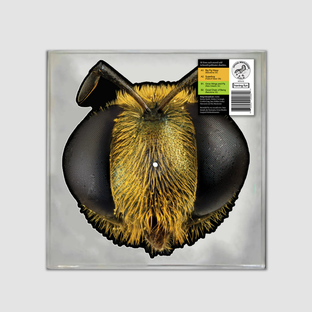 Big Fig Wasp (BEE/BUG SHAPED VINYL)-King Gizzard & The Lizard Wizard