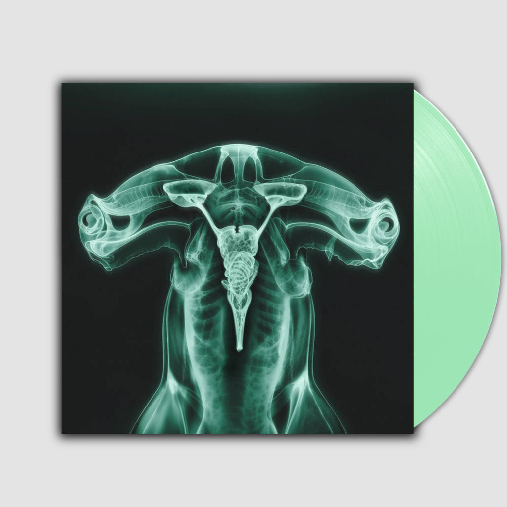 Shark Brain / Dolphin- Eartheater, Shygirl