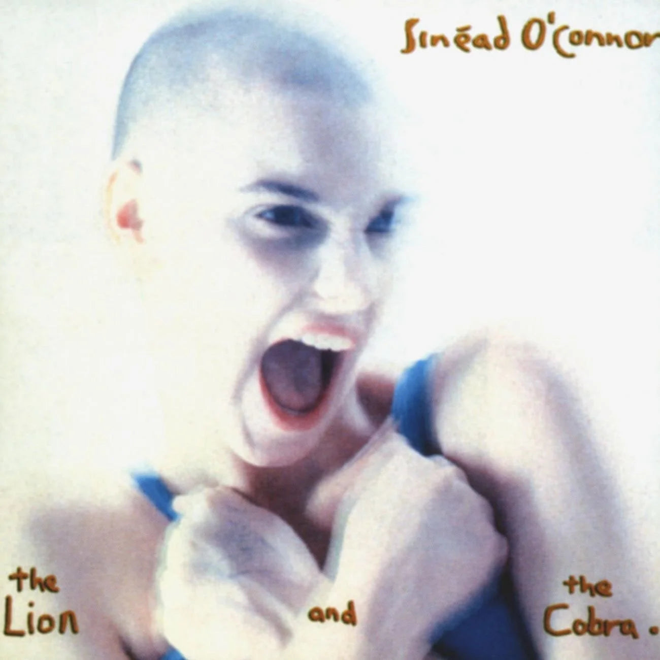 Lion and Cobra - Sinead O’Connor