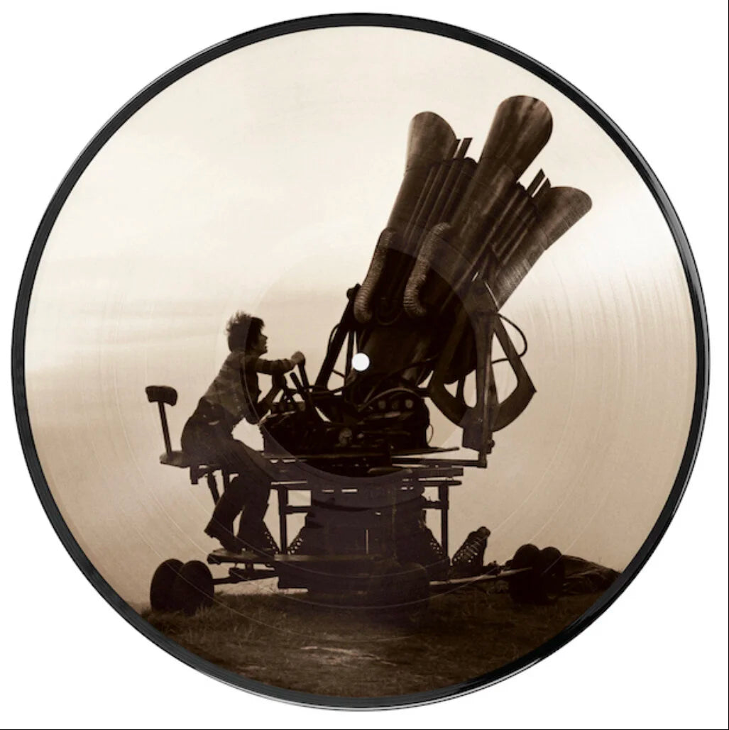Cloudbusting (Picture Disc)- Kate Bush