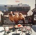 Wilco (The Album) (Picture Disc Vinyl)- Wilco