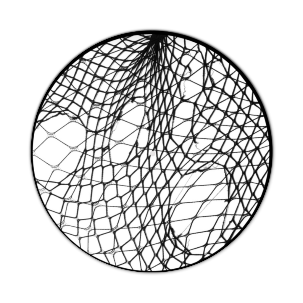 LAST CHANCE: Up & Down- She Wants Revenge