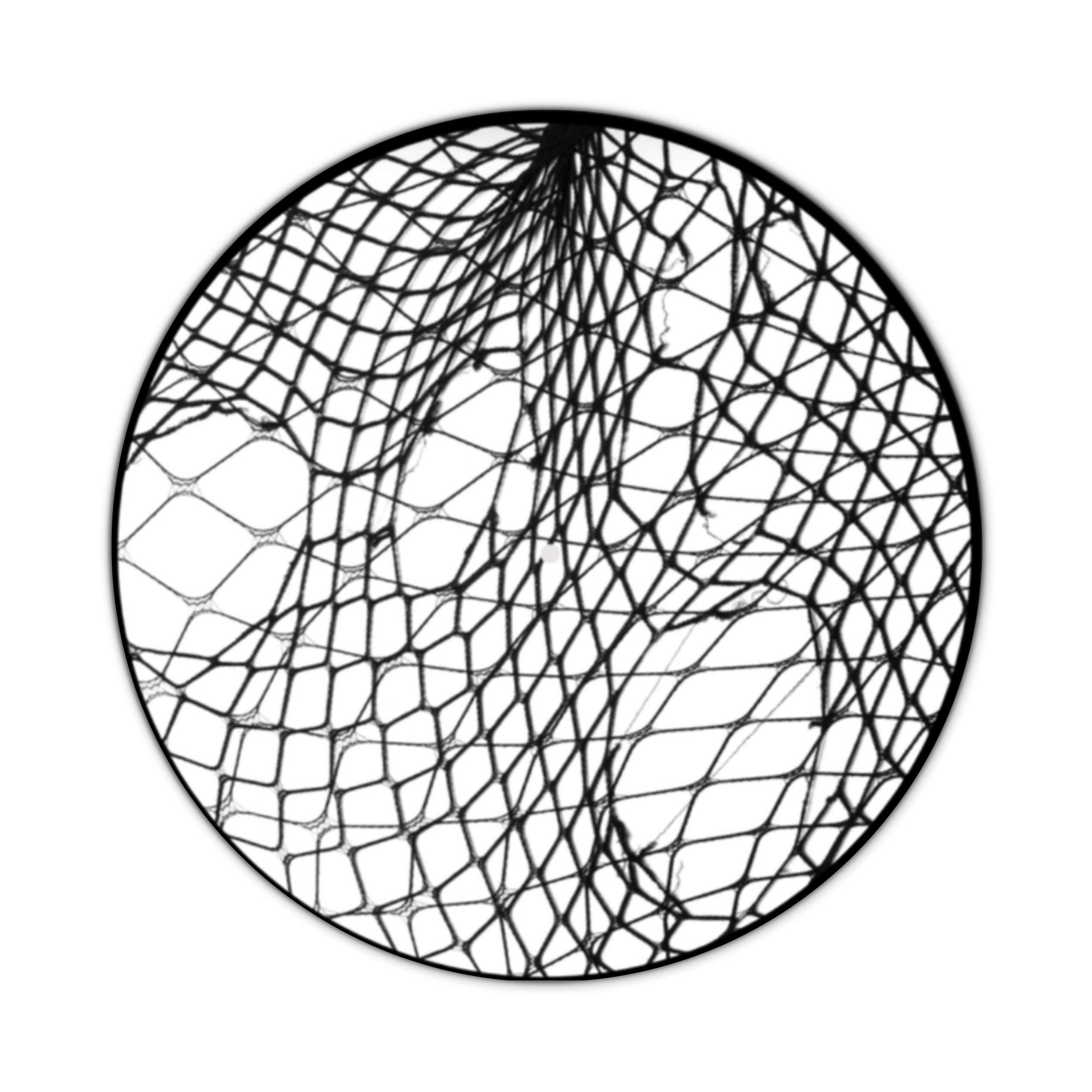 LAST CHANCE: Up & Down- She Wants Revenge