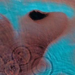 Meddle- Pink Floyd