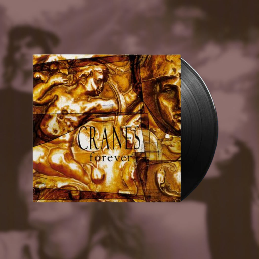Forever- Cranes