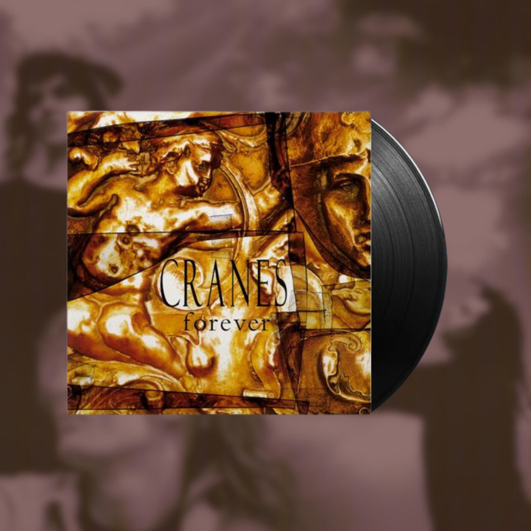 Forever- Cranes