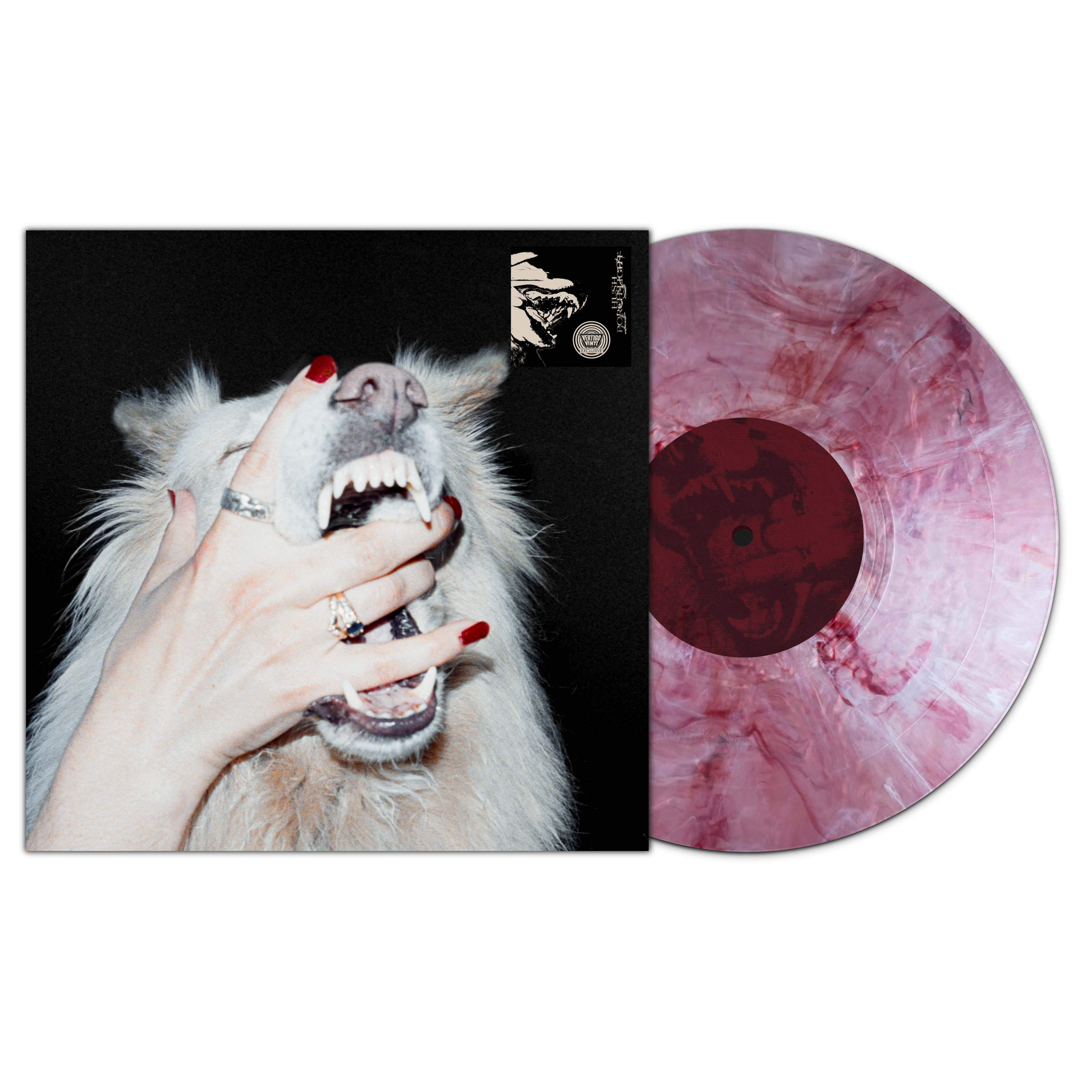 VV Exclusive: Hush- Porch Light