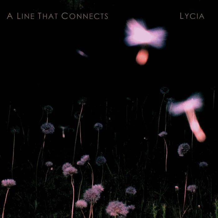 A Line That Connects- Lycia