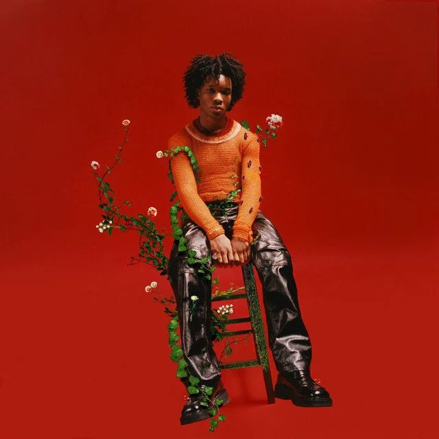 Petals To Thorns- D4VD