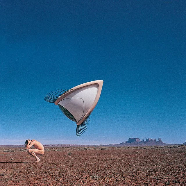 Bury The Hatchet (The Complete Sessions)- The Cranberries